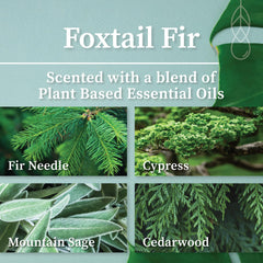 Foxtail Fir scent label on Hemlock Park candle in green glass jar