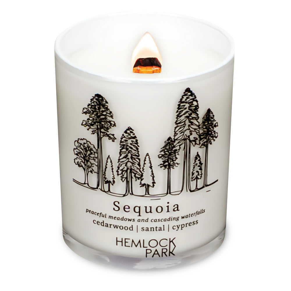 Hemlock Park Passport Candle in white glass jar with crackling wood wick (7.2 oz).