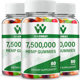 Hemp Gummies product front hero image