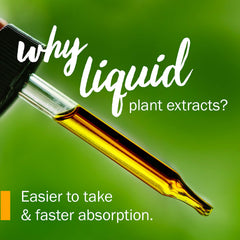 Close-up of dropper with Motherwort liquid extract