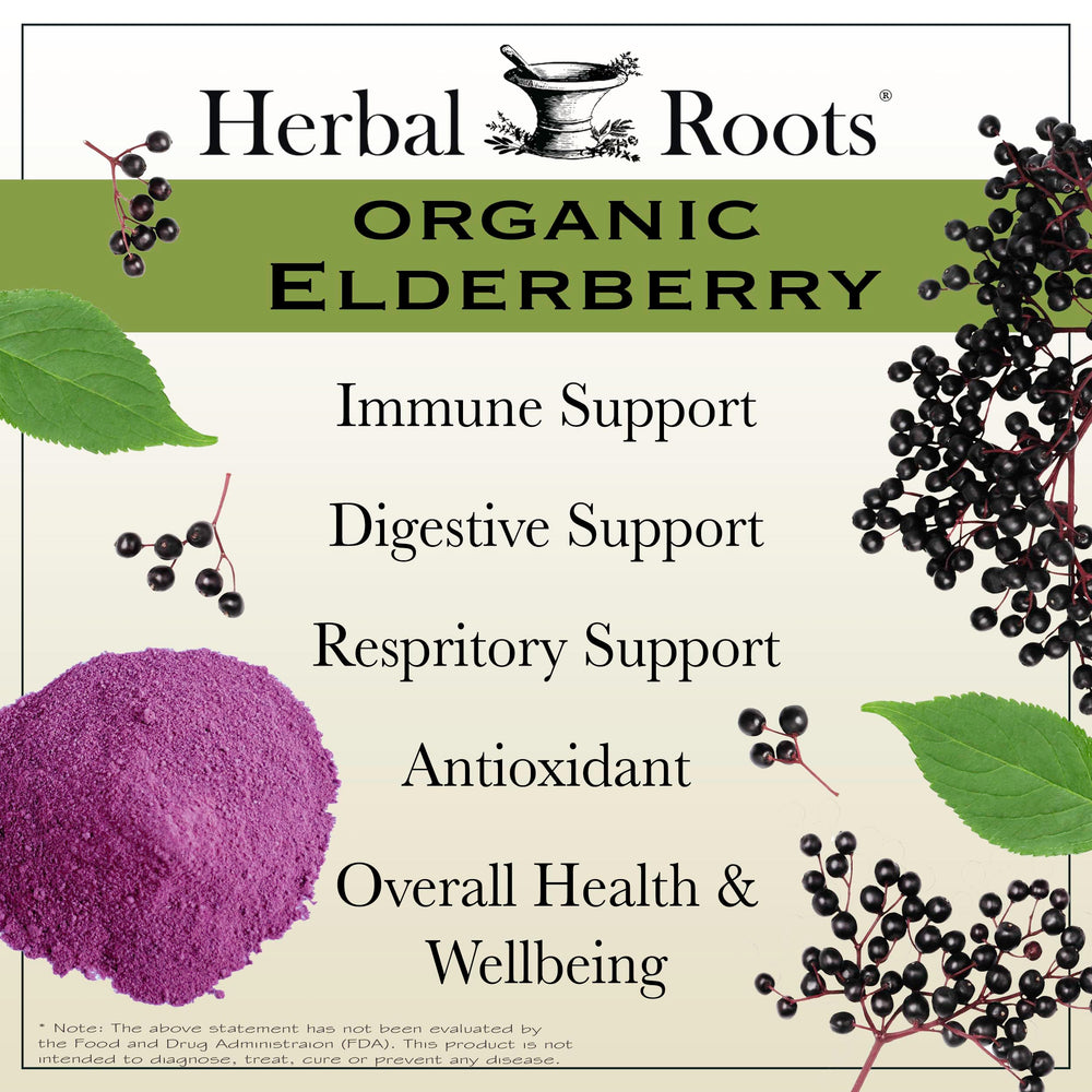 Organic Sambucus elderberry used in Herbal Roots capsules