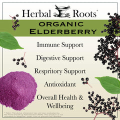 Organic Sambucus elderberry used in Herbal Roots capsules