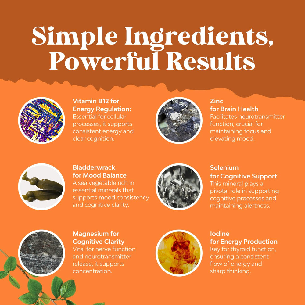 Display of natural herbs: bladderwrack, ashwagandha, selenium