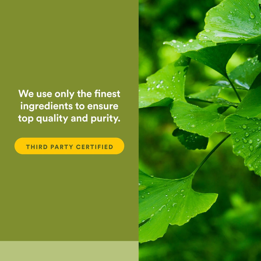 Ginkgo Biloba Phytosome supplement label