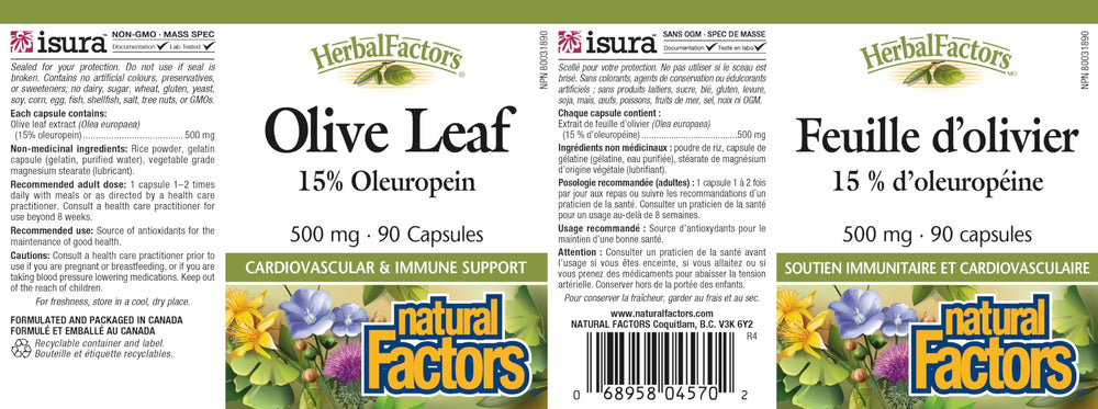 Olive leaves and capsules on white background
