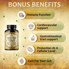Digestive wellness concept with stomach-supporting herbs