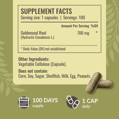 Close-up of Goldenseal root powder