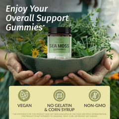 Bottle of HERBAMAMA Irish Sea Moss Gummies 90-count with label