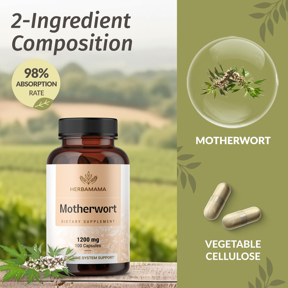 Close-up of ingredients: Motherwort herb and cellulose capsule