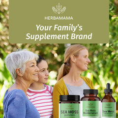 Natural-toned display of sea moss bladderwrack supplement