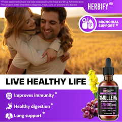 Close-up of mullein leaves and flowers used in HERBIFY Drops