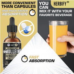 HERBIFY Mullein Drops USA-made label signals quality and trust.