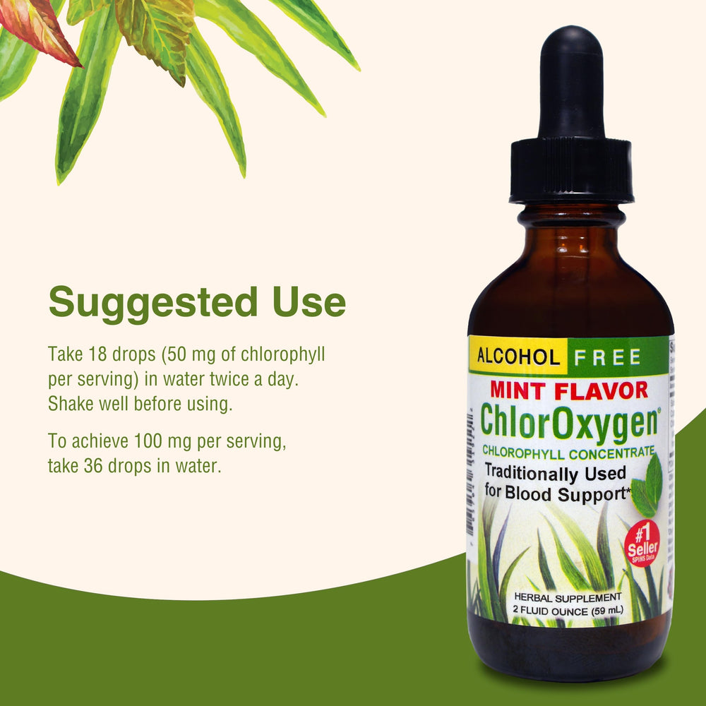 Healthy blood circulation concept with chlorophyll illustration