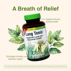 Grindelia flower detail in the formula supporting airway balance.