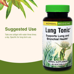 Healthy lungs concept illustration