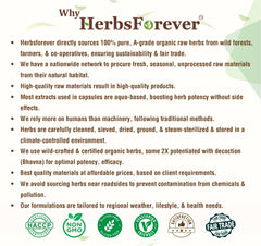 Close-up of the HerbsForever Pippali Powder label