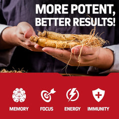 Close-up of capsules with red ginseng branding