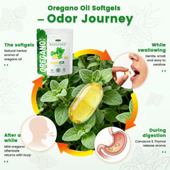 Bottle back label with usage directions