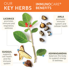 Herbal blend of Ashwagandha and Amla in Himalaya ImmunoCare capsules