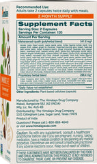 Ingredients label showing Ashwagandha and Amla in Himalaya ImmunoCare