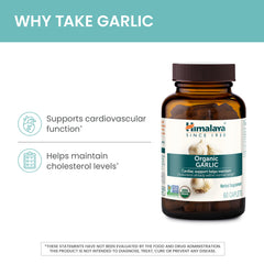 Front packaging highlighting organic garlic potency