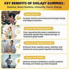 Shilajit sourced from the Himalayan mountains at high altitude