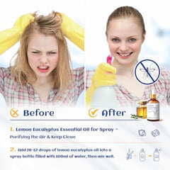Lemon eucalyptus essential oil used for spray and room scent