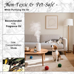 Diffuser setup in a living room for long-lasting fragrance