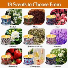 Assorted 2.5oz HOFOGOTOWIN candle tins in the set