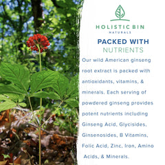 Nutrient-rich ginseng powder highlight