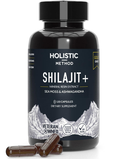 Holistic Method Shilajit 120-count bottle main image