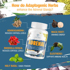 Holy Basil and other adaptogen herbs for adrenal support