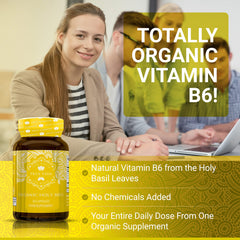Tulsi leaves for organic Holy Basil extract