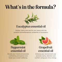 Home or travel diffuser with Focus blend creating ambience