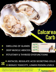 Overall product packaging and branding for Homeomart Calcarea Carbonica pellets