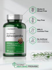 Infographic detailing 10:1 extract and 4,500 mg per serving