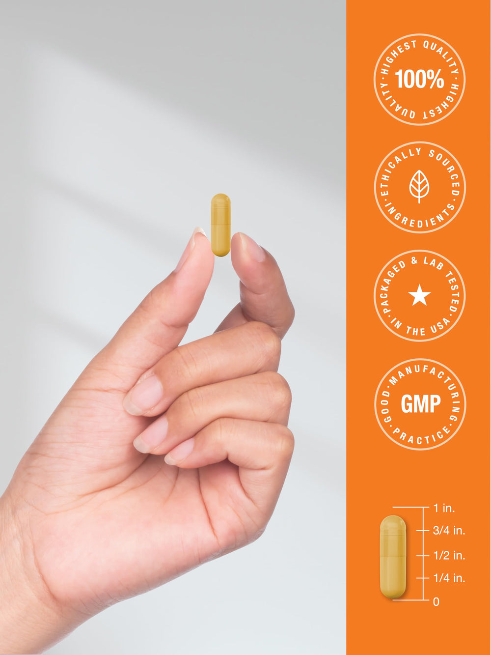Packaging and label details of Horbäach B-100 Complex Vitamin