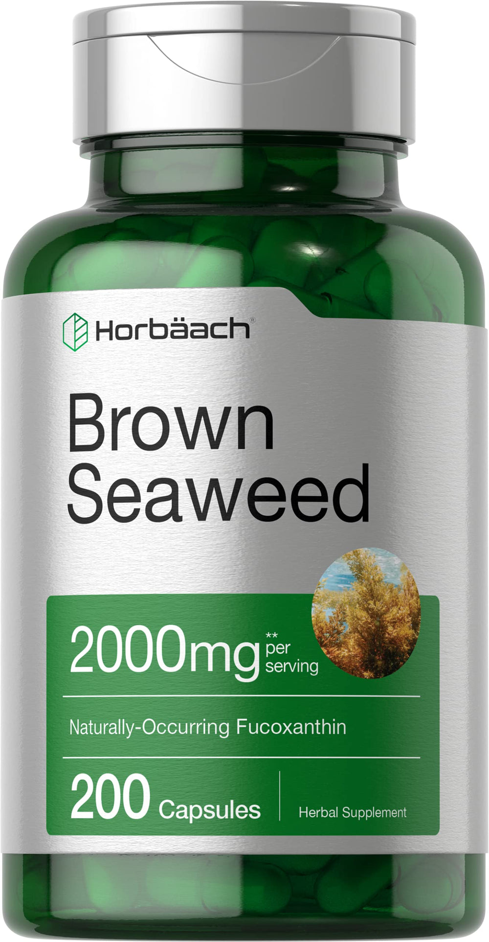 Horbäach Brown Seaweed Extract Capsules 2000mg bottle front
