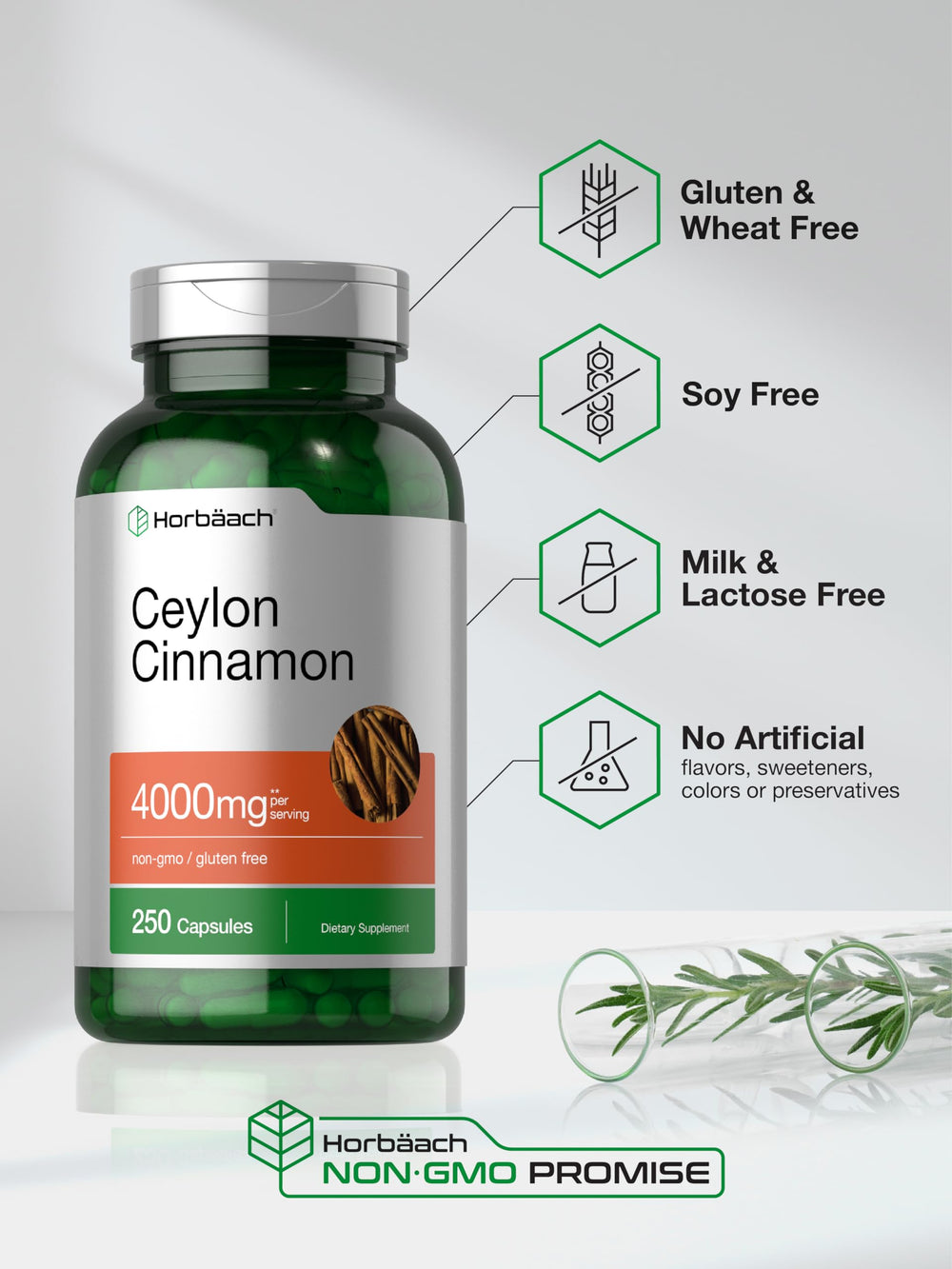 250-count bottle of Horbaach Ceylon Cinnamon Capsules