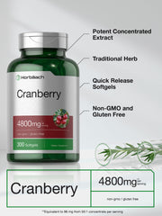 Supplement facts panel for Horbäach Cranberry Pills