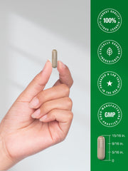 Horbäach Echinacea Goldenseal capsules packaging and bottle