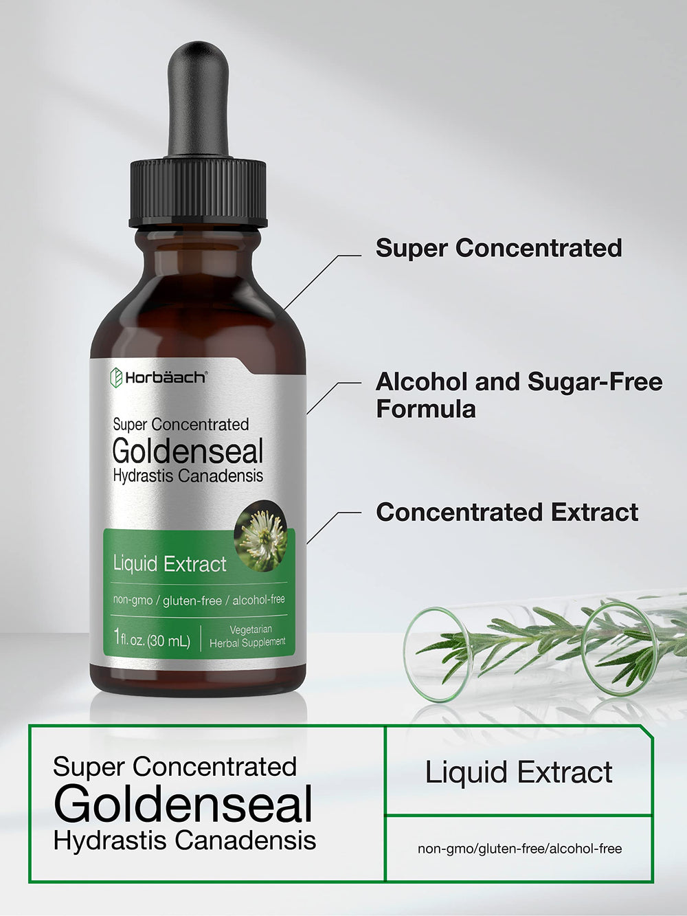 Ingredient panel for Horbaach Goldenseal tincture
