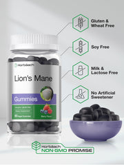Ingredients and purity statement on Horbäach Lion's Mane packaging