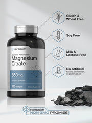Supplement facts panel for Horbäach Magnesium Citrate 850 mg