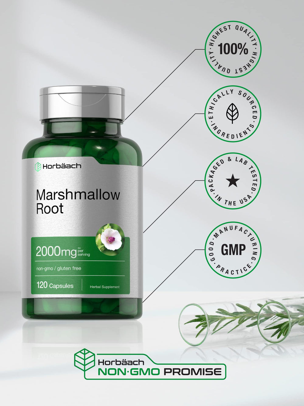 Laboratory tested quality badge for Horbäach Marshmallow Root Capsules