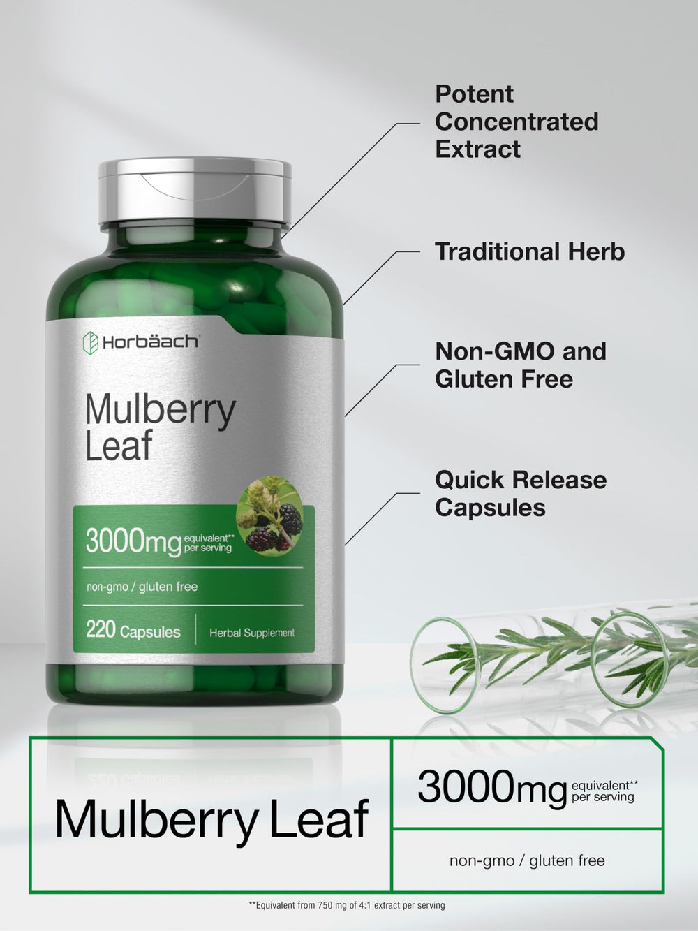 Close-up of Mulberry Leaf Extract capsules inside a bottle