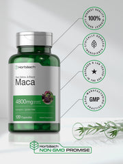 Back nutrition information on Horbäach Maca Root Capsules