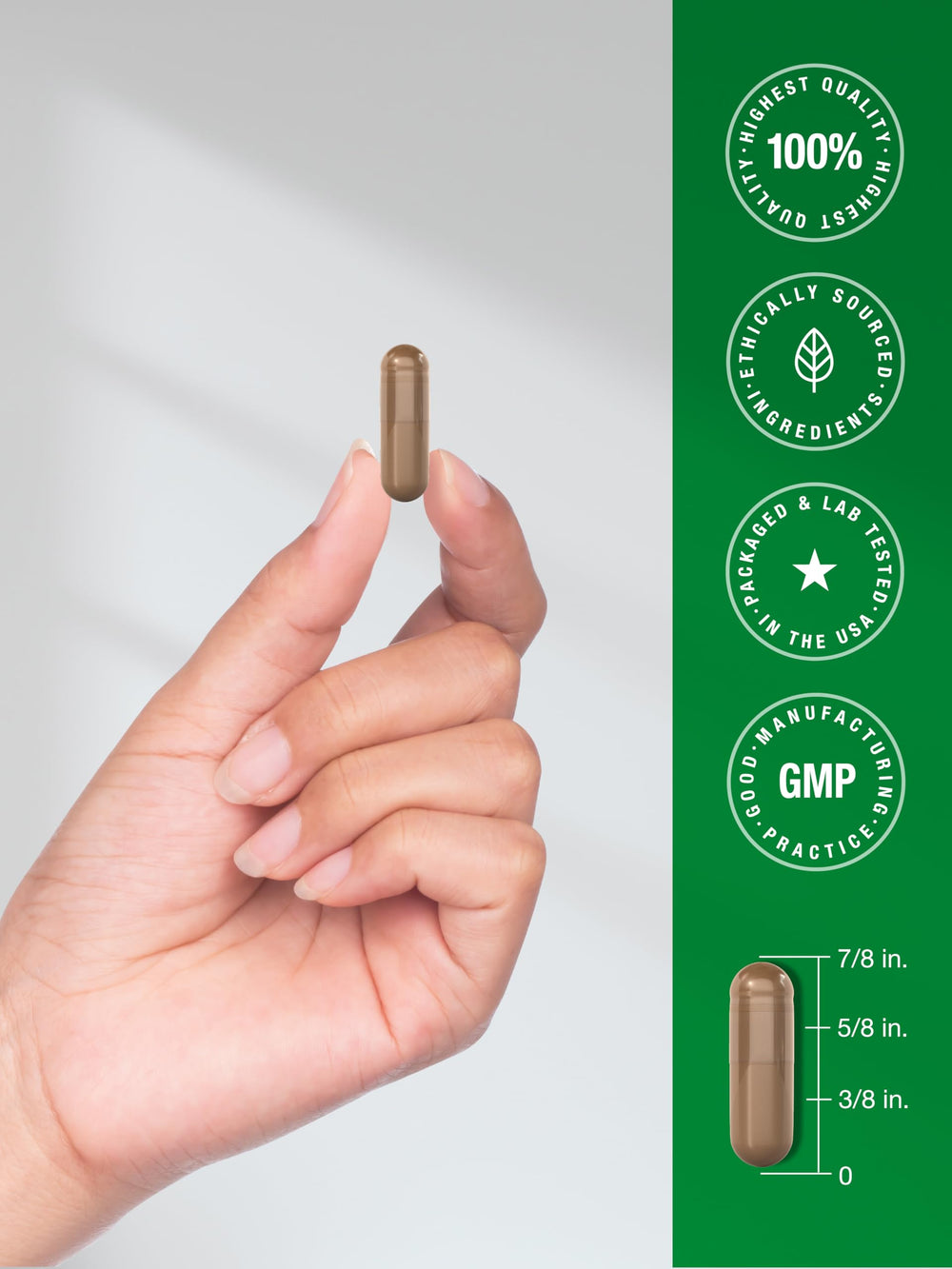 Lifestyle image of Horbaach Reishi capsules on a countertop