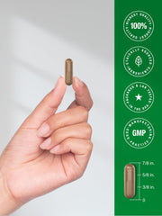 Lifestyle image of Horbaach Reishi capsules on a countertop