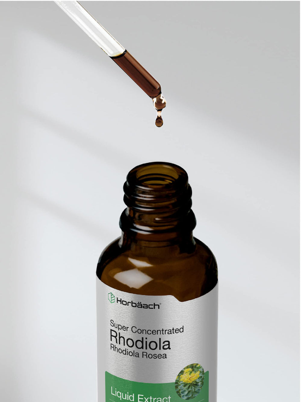 Golden root illustration representing Rhodiola Rosea